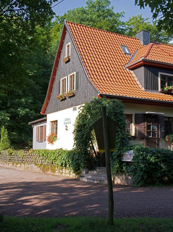 Saengerwiese Eisenach Quarto foto