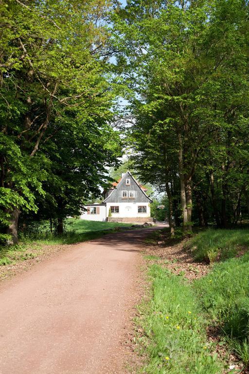 Saengerwiese Eisenach Quarto foto